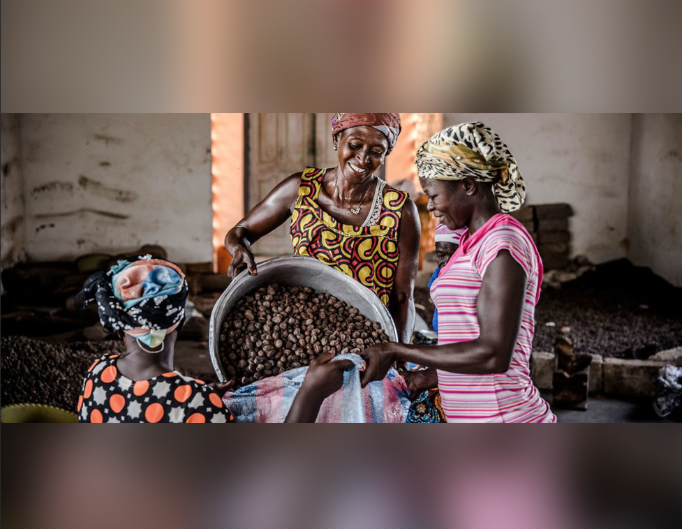 Le plein potentiel des femmes reste inexploité, dénonce l’ONU